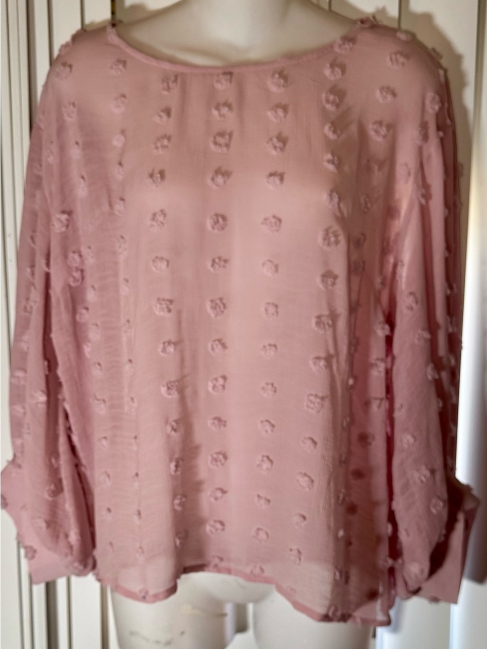 Solitaire Dusty Blush Textured Dot Long Sleeve Blouse